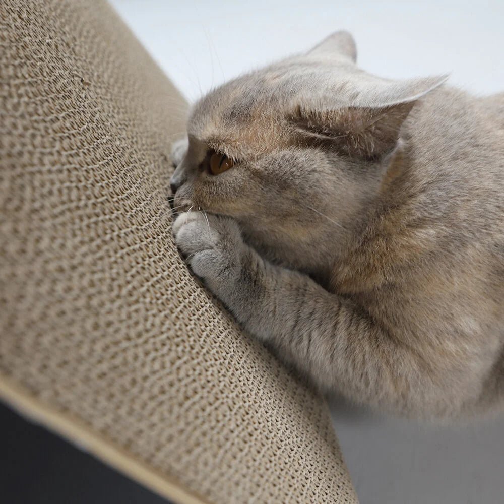 Triangle | Meuble à griffer en carton pour chat - Jean - Poil - Noir