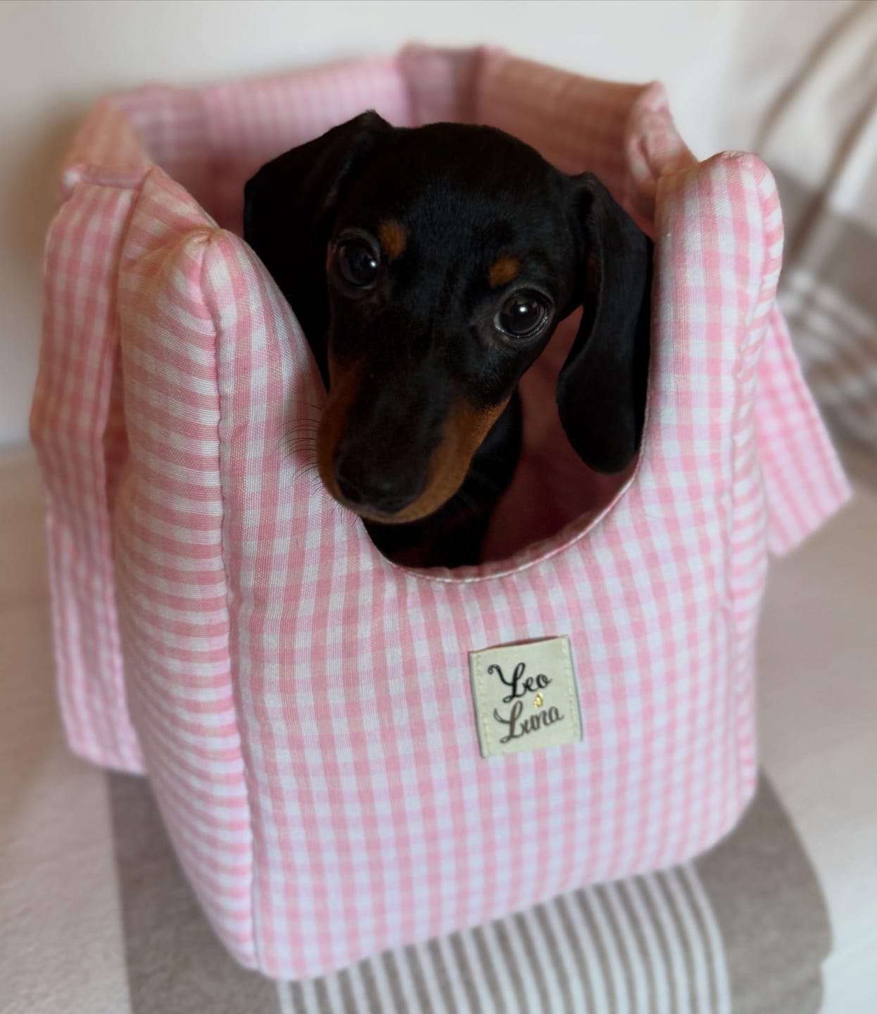 Vichy | Sac de transport en coton - fabrication artisanale - Jean - Poil - Rose